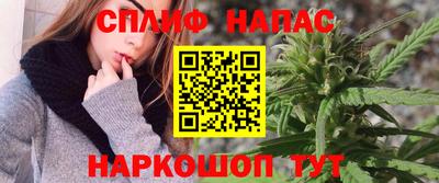 СК Нальчик