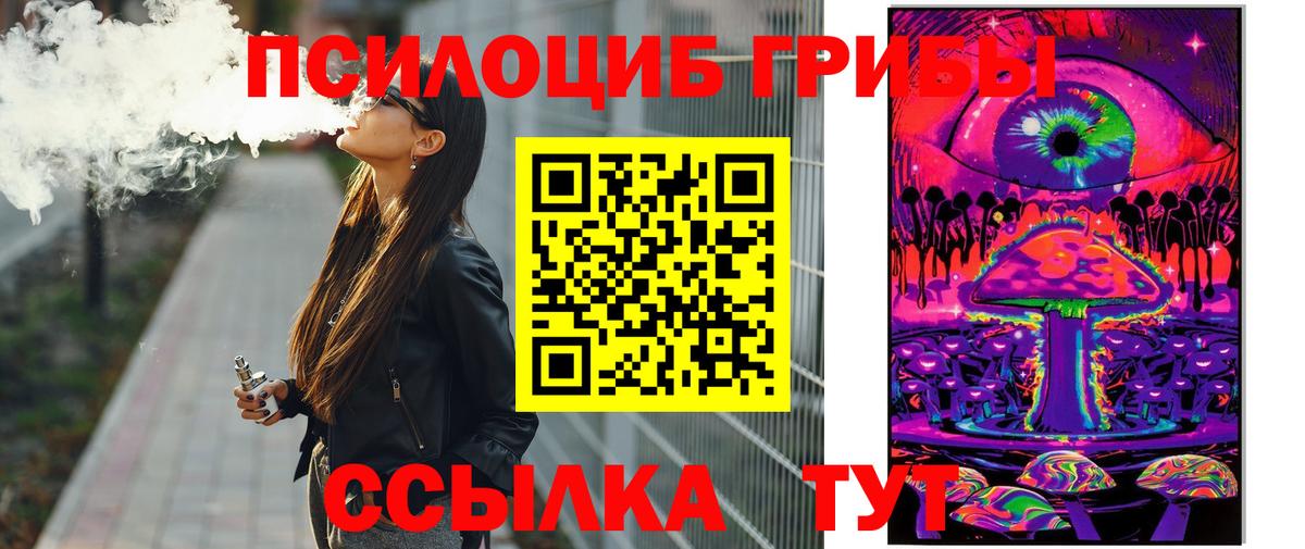 Курган  Псилоцибиновые грибы мицелий  Вход с VPN 