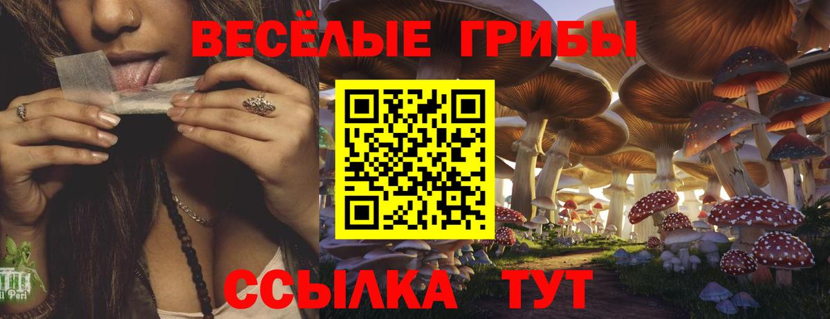 Псилоцибиновые грибы мицелий Курган